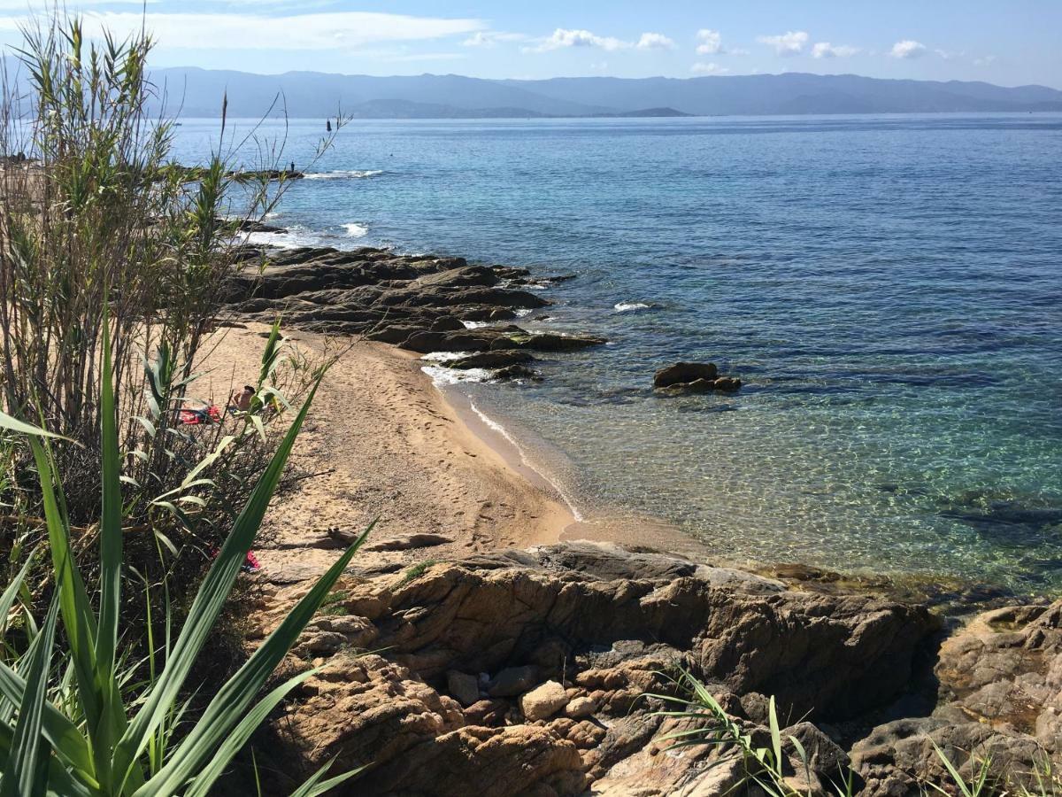 Superbe Appartement 3 Etoiles Ajaccio Debut Sanguinaires Eksteriør bilde